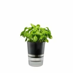 GEFU Kräutertopf Botanico