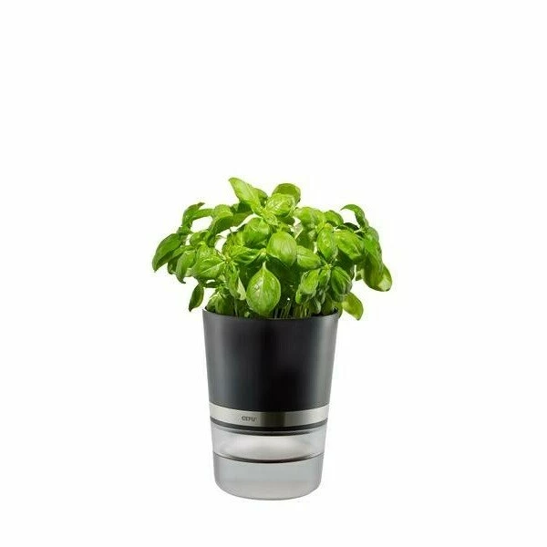 GEFU Kräutertopf Botanico 1 GEFU Kräutertopf Botanico