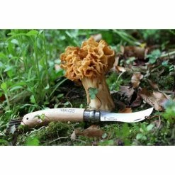 Opinel Pilzmesser N°08 8 Cm Buche 6 Opinel Pilzmesser N°08 8 Cm Buche -Villeroy and Boch shop Pilzmesser mit Holzgriff rostfrei 3 600x600 ID302644 4997dc893f35baa2b250393bb95e0c61