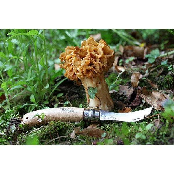 Opinel Pilzmesser N°08 8 Cm Buche 3 Opinel Pilzmesser N°08 8 Cm Buche – Bild 3