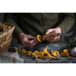 Opinel Pilzmesser N°08 8 Cm Buche 7 Opinel Pilzmesser N°08 8 Cm Buche -Villeroy and Boch shop Pilzmesser mit Holzgriff rostfrei 4 600x600 ID302645 ece2eb67e653e0013f3b696b6c8e14c4