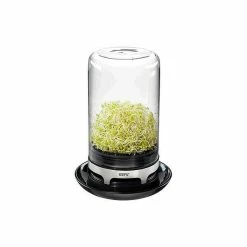 GEFU Sprossenglas Bivita