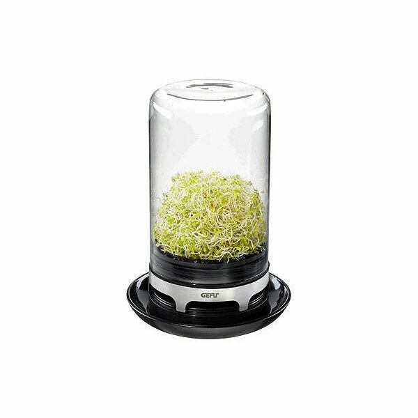 GEFU Sprossenglas Bivita 1 GEFU Sprossenglas Bivita